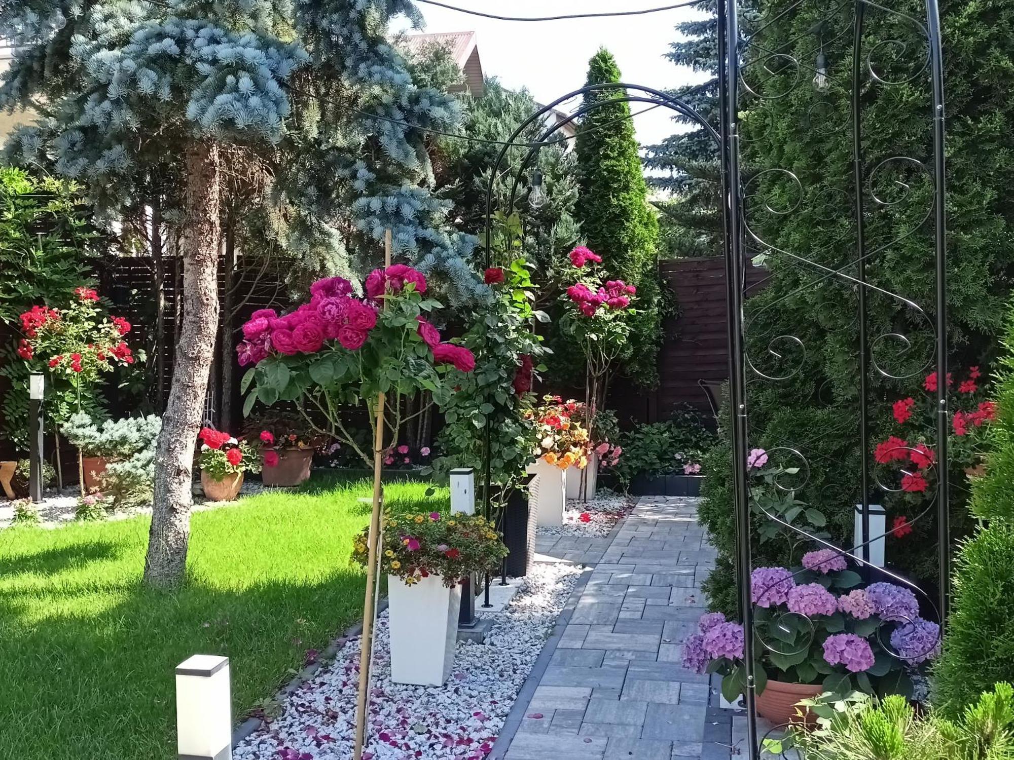 Pokoje Hotelowe Nad Zalewem Siedlce Dış mekan fotoğraf